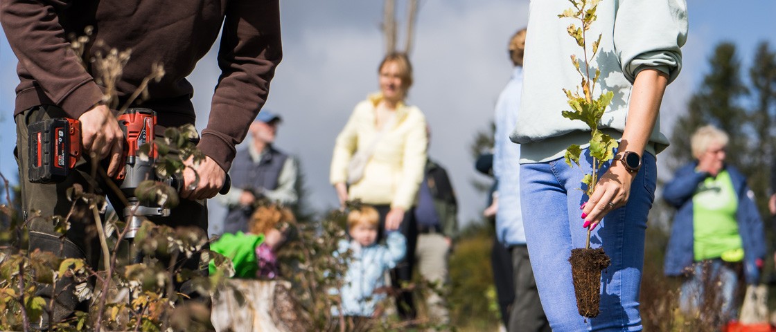 Frau mit kleinem Baum in der Hand | Wunscherfüller-Aktion